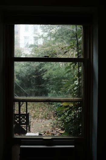closed clear glass window in front of plants