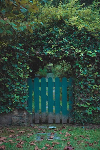 Closed Green Wooden Gate
