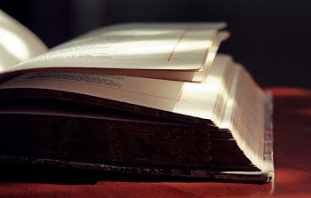 Closed-up Photo of Open Book on Red Surface