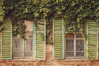 Closed Windows