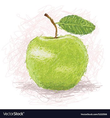 Closeup of a fresh green apple fruit vector image