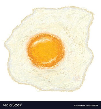 Closeup of a freshly cooked sunny side up fried vector image