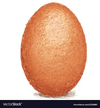 Closeup of a raw white chicken egg isolated vector image