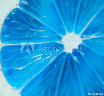 Closeup of a slice of lemon in negative filter textured background