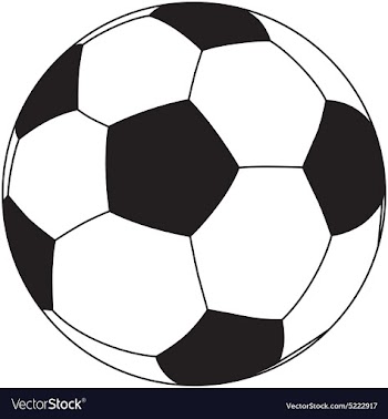 Closeup of a soccerball isolated in white vector image
