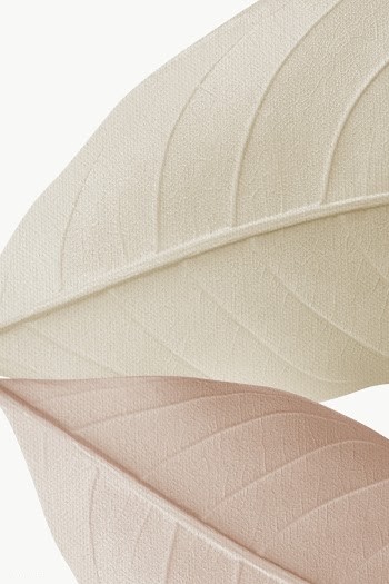Closeup of beige leaves texture design element | Free  transparent png - 2280670