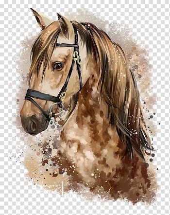 Closeup of brown and beige horse head painting, Horse Pony Watercolor painting Drawing, horse transparent background PNG clipart
