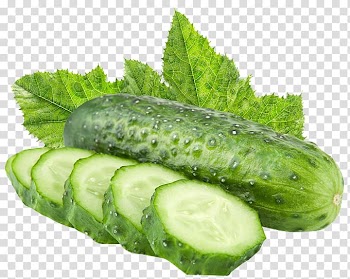Closeup of cucumber, Vegetable Pickled cucumber Slicing cucumber Fruit, Green cucumber transparent background PNG clipart