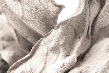Closeup of dried leaves design | Free Photo - rawpixel