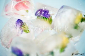 Closeup of flowers ice cube