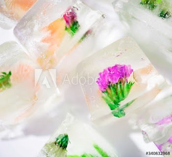Closeup of flowers ice cube