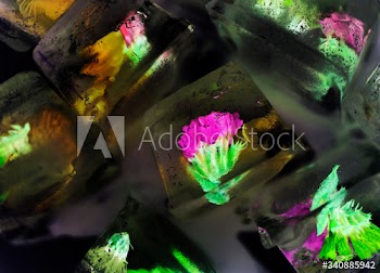 Closeup of flowers ice cube in negative effect