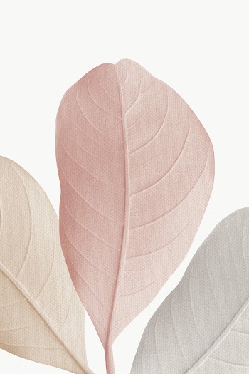 Closeup of pastel leaves texture design element | Free  transparent png - 2280688
