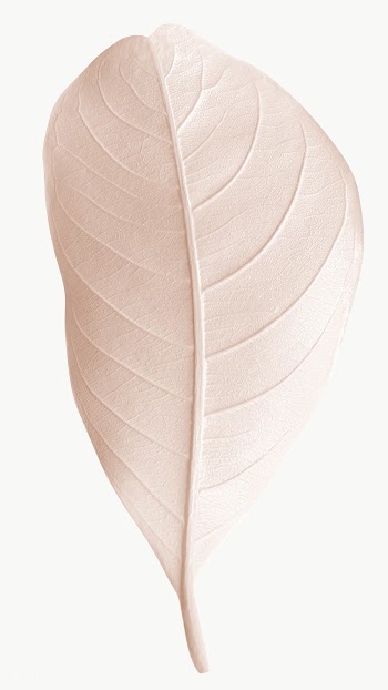 Closeup of pink pastel leaf design element | Free  transparent png - 2362793