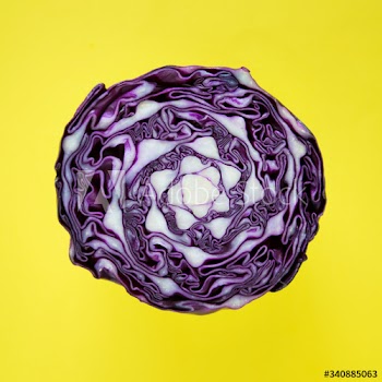 Closeup of purple round cabbage cut in half in a yellow background