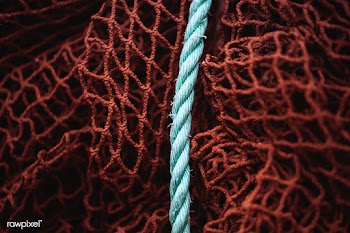 Closeup of red fishing nets | Free  photo - 2329580