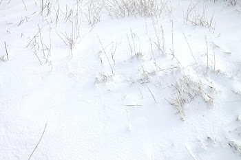 Closeup on ground covered in snow. | Free Photo - rawpixel