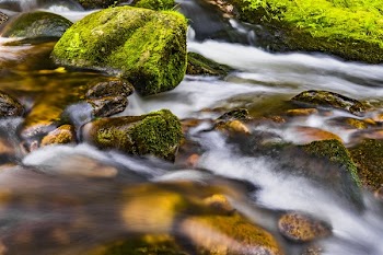 Closeup Photo Body of Water and Green Stone