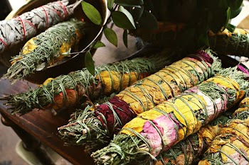 Closeup Photo of Assorted-color of Flowers