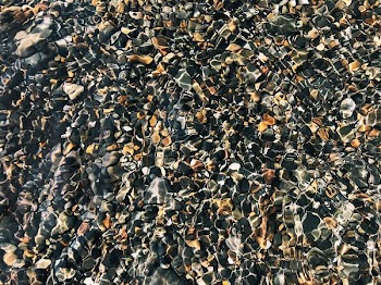 closeup photo of black and brown stone lot