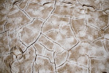 closeup photo of brown cracked soil