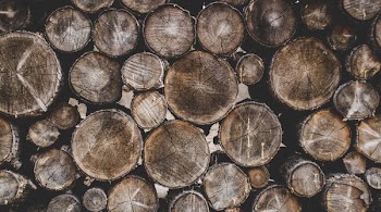 closeup photo of brown logs