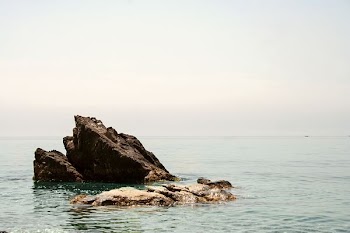 closeup photo of brown rock surrounded by body of water