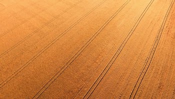 closeup photo of brown textile