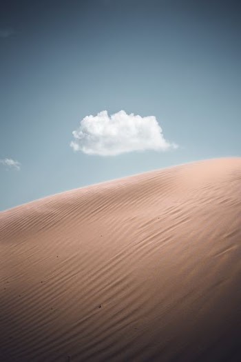 closeup photo of desert