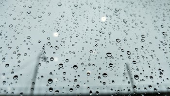 Closeup Photo of Dew Drops on Glass