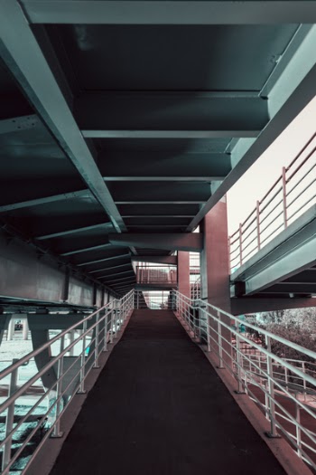 Closeup Photo of Empty Pathway