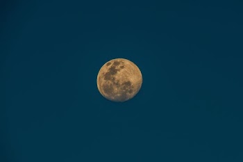 closeup photo of full moon