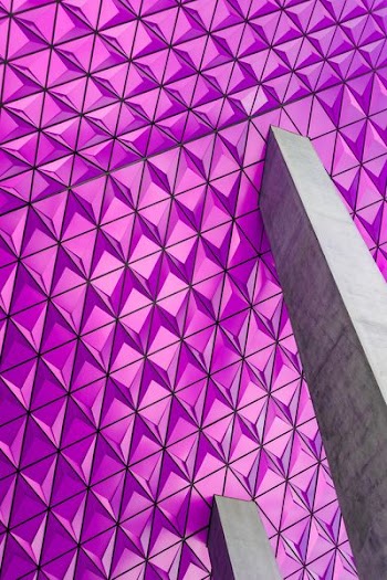 Closeup Photo of Pink Graphic Wallpaper