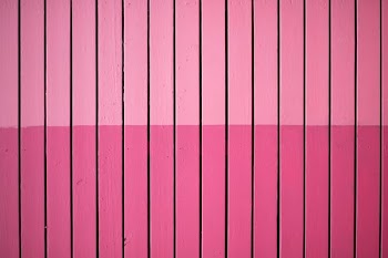 closeup photo of pink paint plank wall