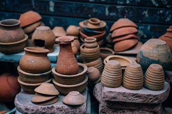 closeup photo of plant pot lot beside wall