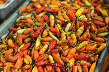 Closeup Photo of Red and Orange Chilis