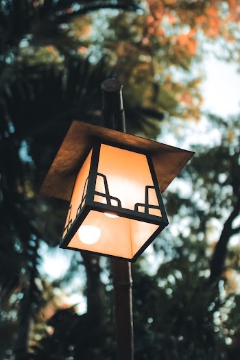 Closeup Photo of Turned-on Street Light
