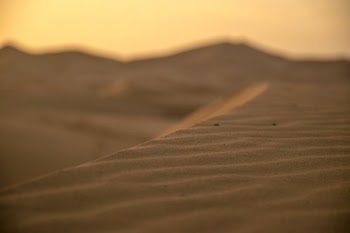 closeup photo of white sands