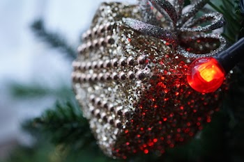 Closeup Photography of Grey Bauble