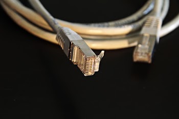 Closeup Photography of Lan Cable