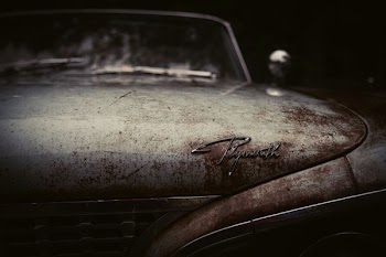 closeup photography of vintage car