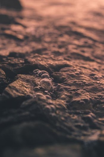 closeup photography of water bubble