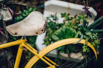 closeup photography of yellow bicycle beside green plants