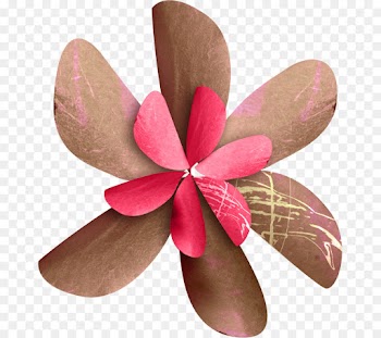Cloth Napkins, Paper, Petal, Pink, Frangipani PNG
