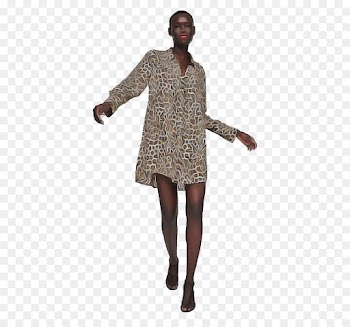 clothing brown standing sleeve dress