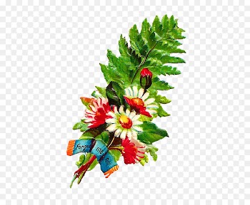 Clothing, Dress, Skirt, Flower, Bouquet PNG