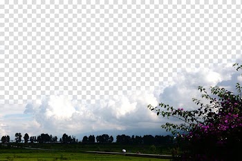 Cloud Cumulus Nebula, White clouds transparent background PNG clipart