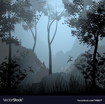 Cloud forest scene vector image