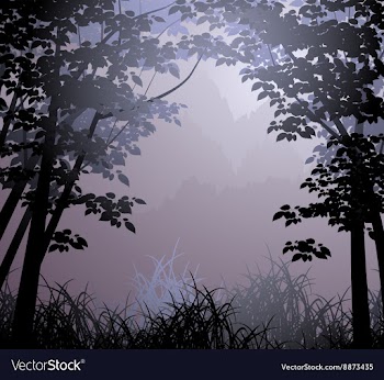 Cloud forest vector image