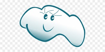 Cloud, Nature, Vector, Sky - Tijucas